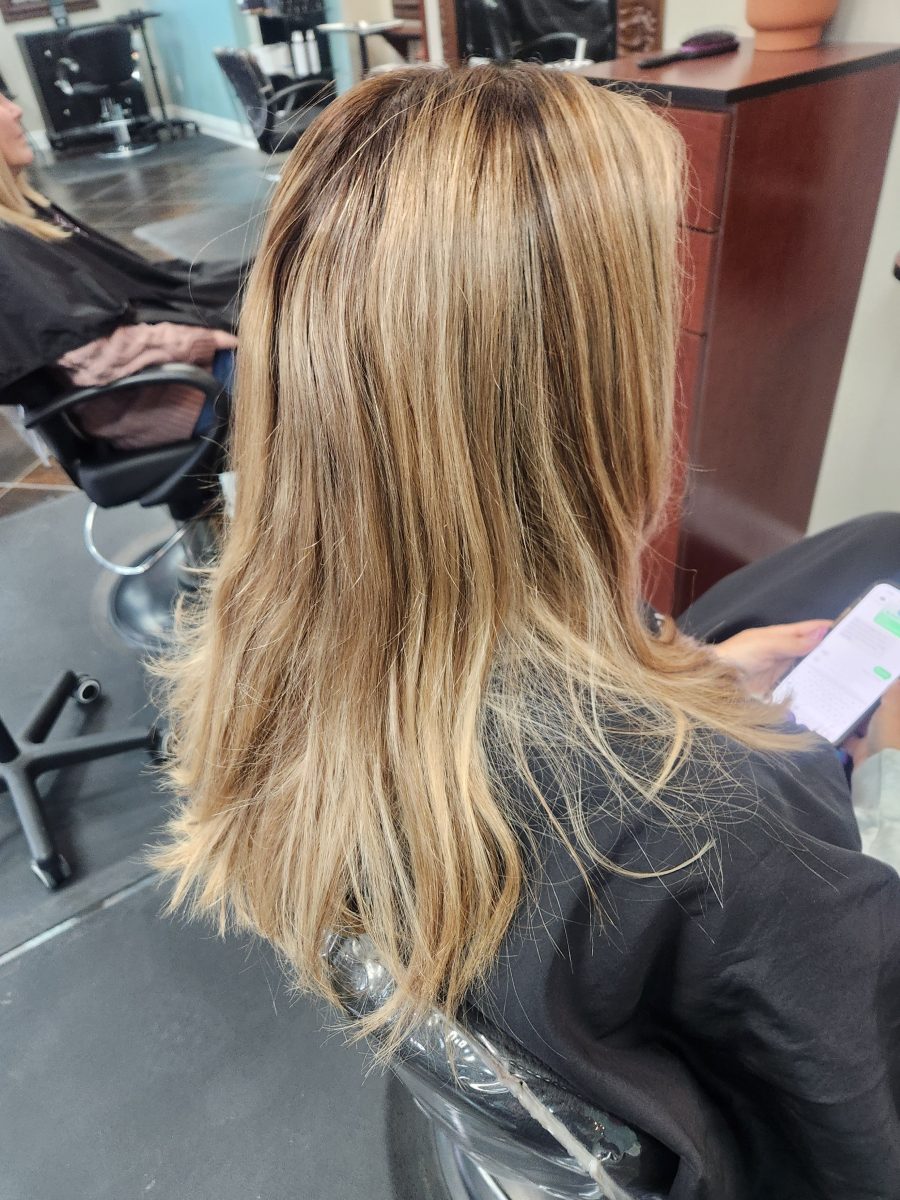 Balayage refresh before treatment by Siobhan Rozinski at K Bella Hair Studio in Brighton, MI