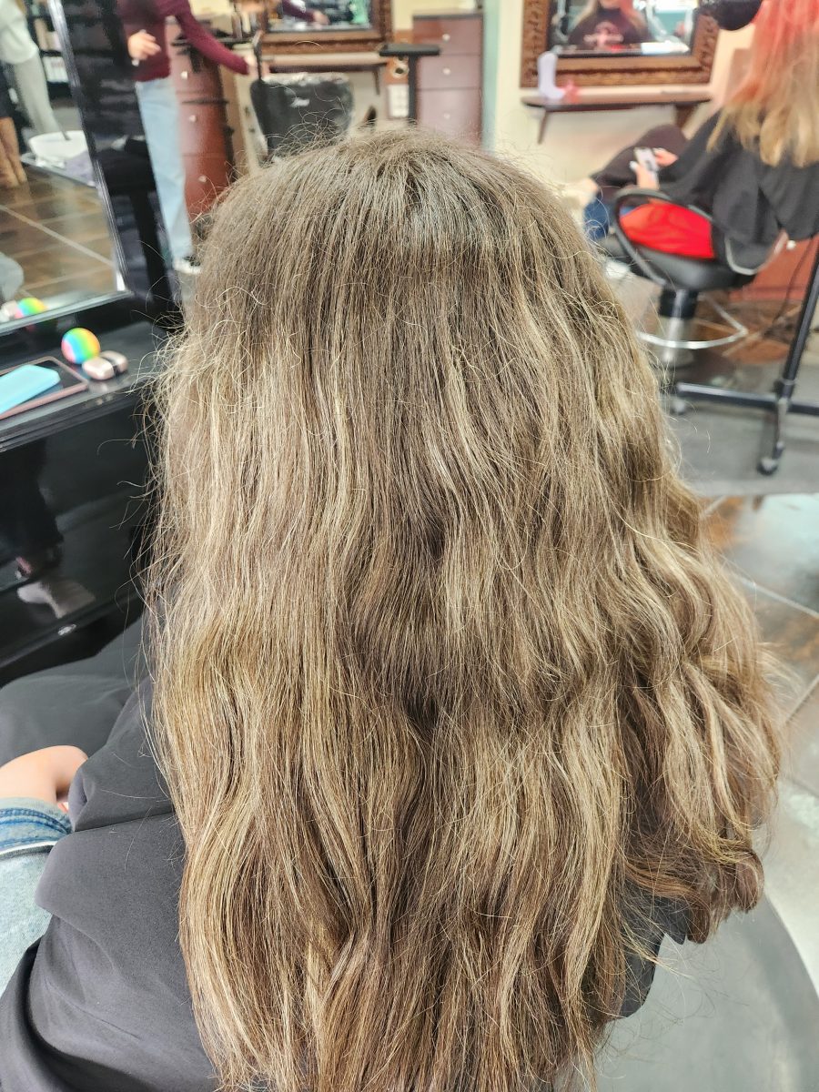 Partial hilite & trim before treatment by Siobhan Rozinski at K Bella Hair Studio in Brighton, MI