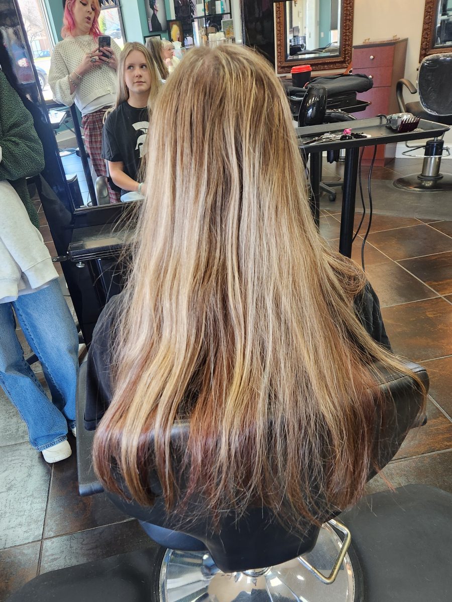 Haircut before treatment by Siobhan Rozinski at K Bella Hair Studio in Brighton, MI