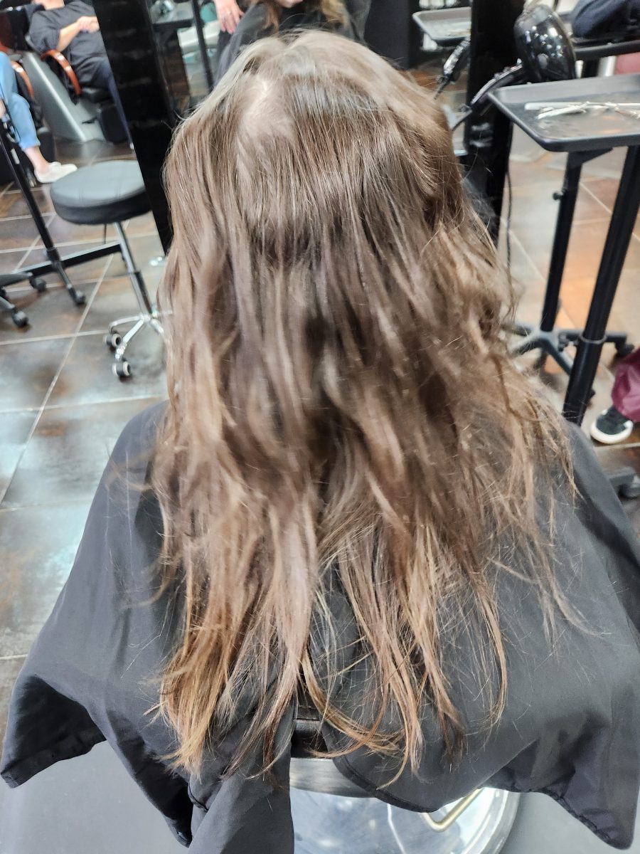 Balayage/cut before treatment by Siobhan Rozinski at K Bella Hair Studio in Brighton, MI