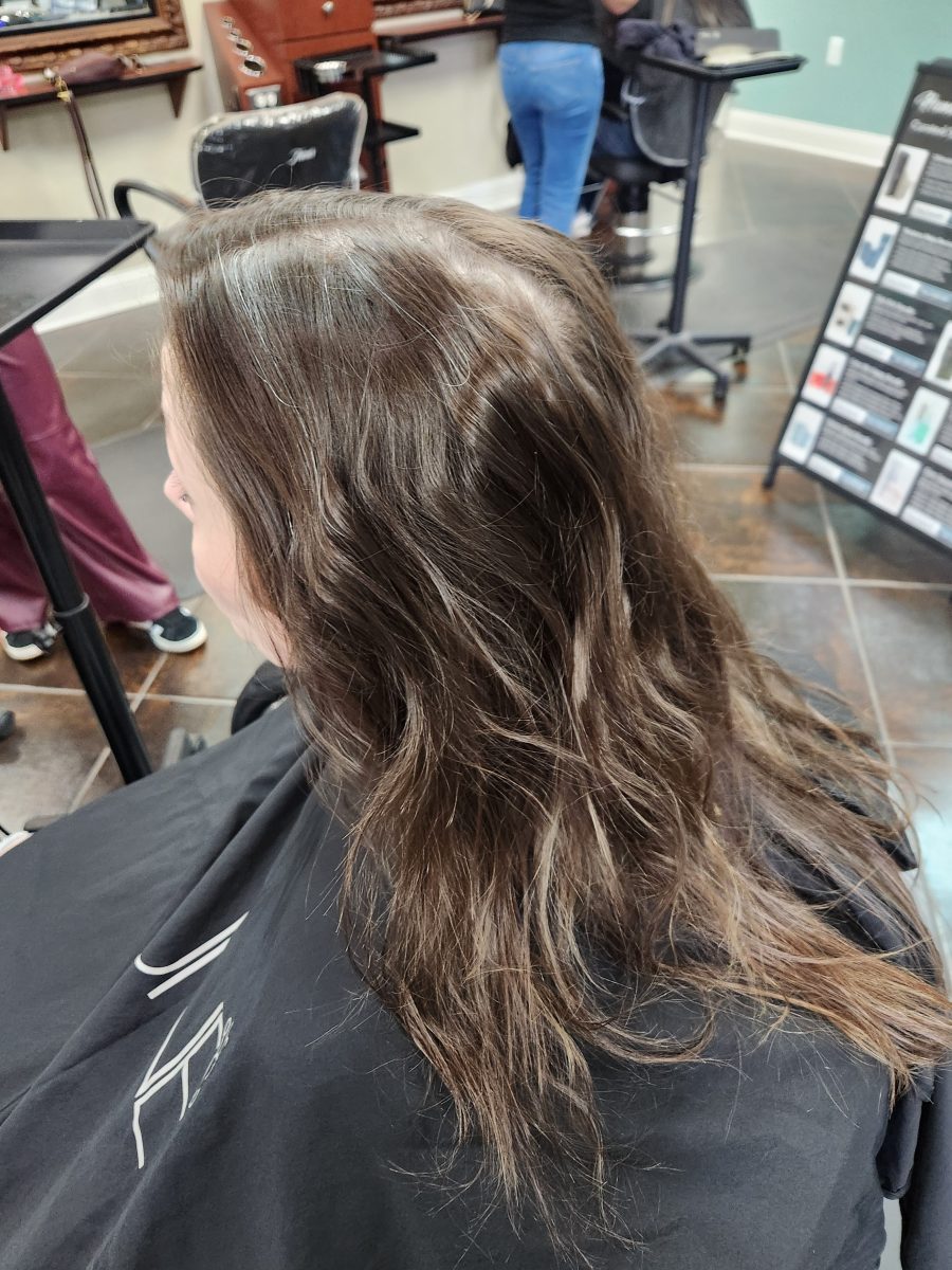 Balayage/cut before treatment by Siobhan Rozinski at K Bella Hair Studio in Brighton, MI