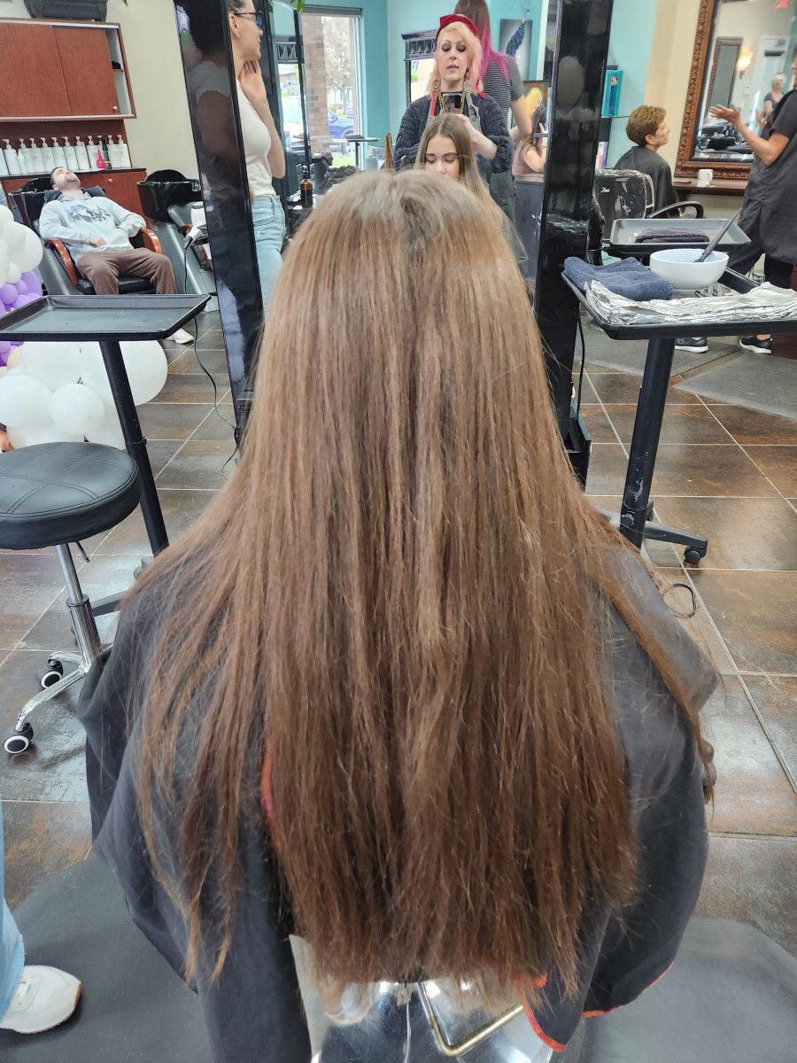 Balayage/cut before treatment by Siobhan Rozinski at K Bella Hair Studio & Spa in Brighton, MI