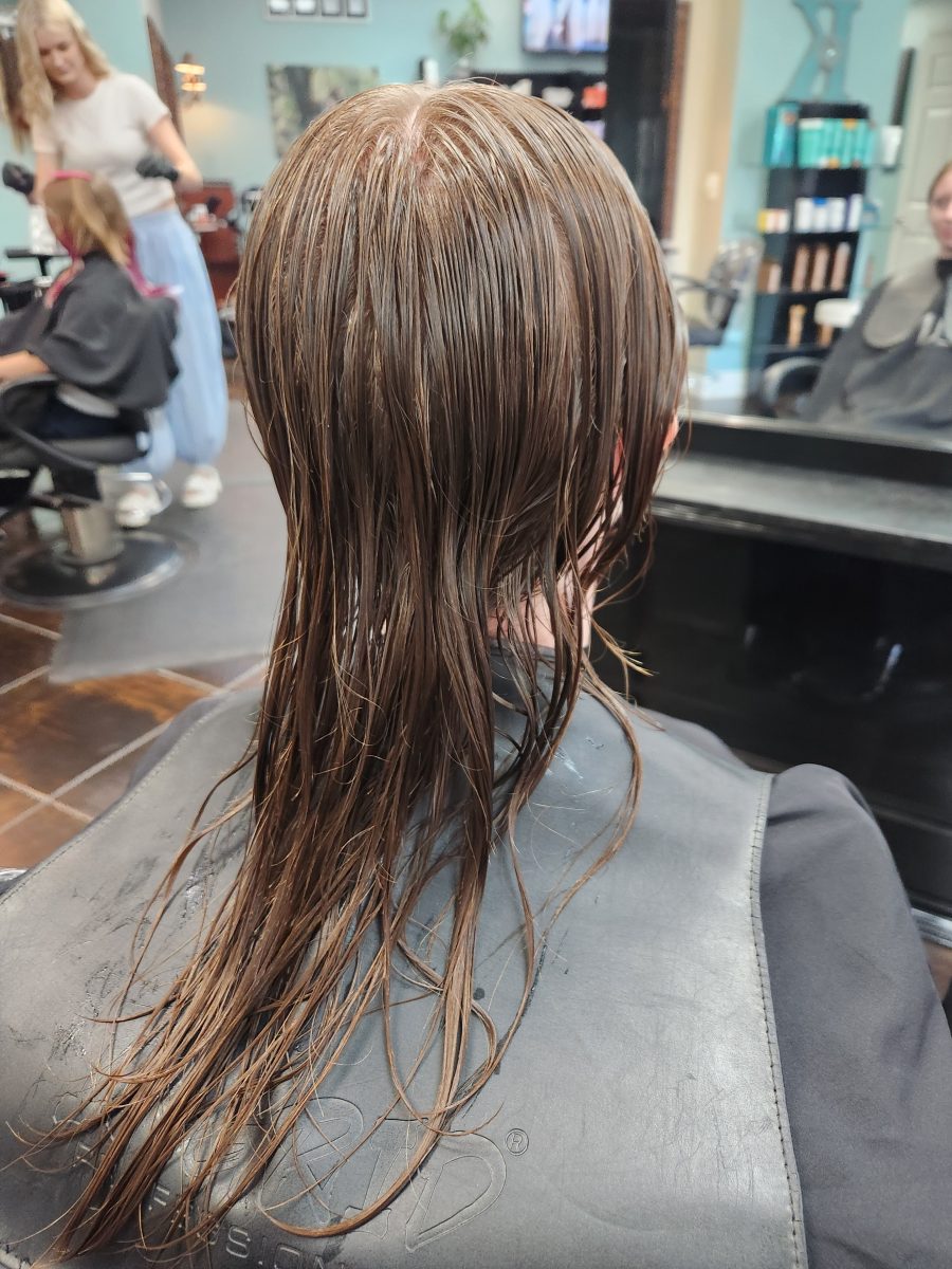Bixie & rattails before treatment by Siobhan Rozinski at K Bella Hair Studio & Spa in Brighton, MI