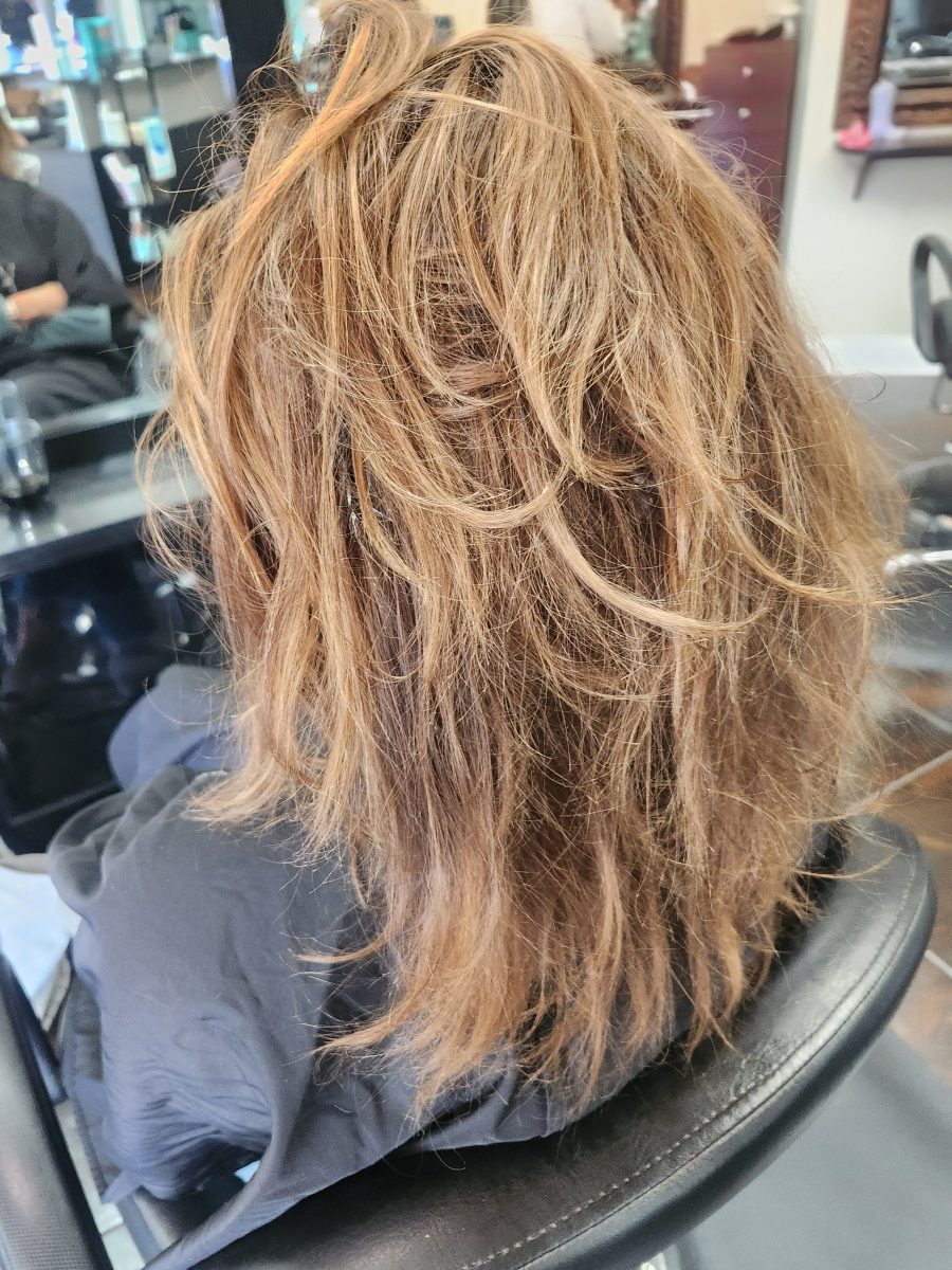 Color refresh & cut before treatment by Siobhan Rozinski at K Bella Hair Studio & Spa in Brighton, MI