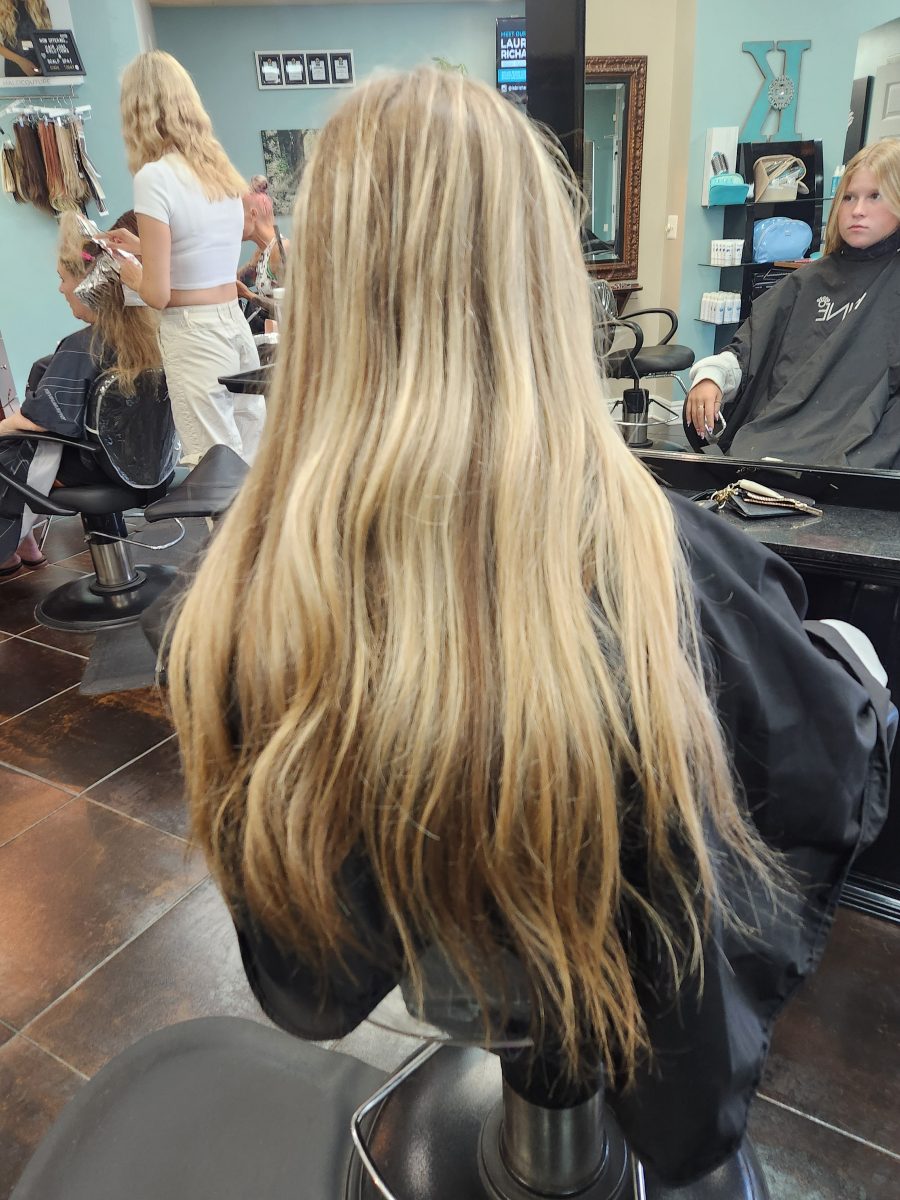Hilite refresh & cut before treatment by Siobhan Rozinski at K Bella Hair Studio & Spa in Brighton, MI