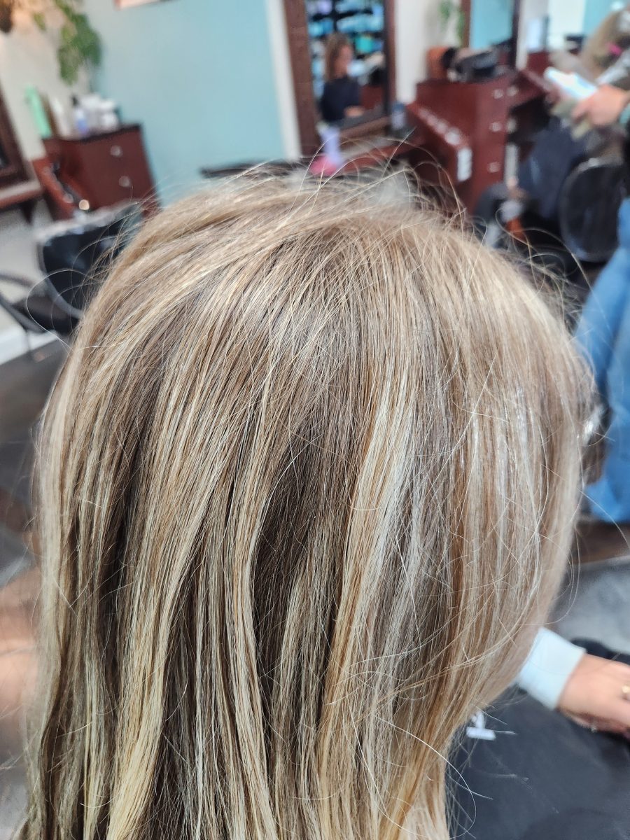 Hilite refresh & cut before treatment by Siobhan Rozinski at K Bella Hair Studio & Spa in Brighton, MI
