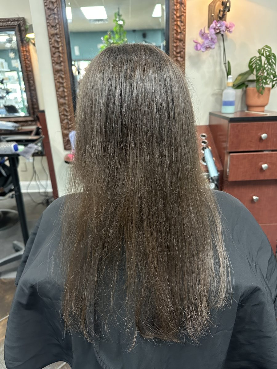 2 rows of tape-in weft extensions before treatment by Kameryn Bell at K Bella Hair Studio & Spa in Brighton, MI