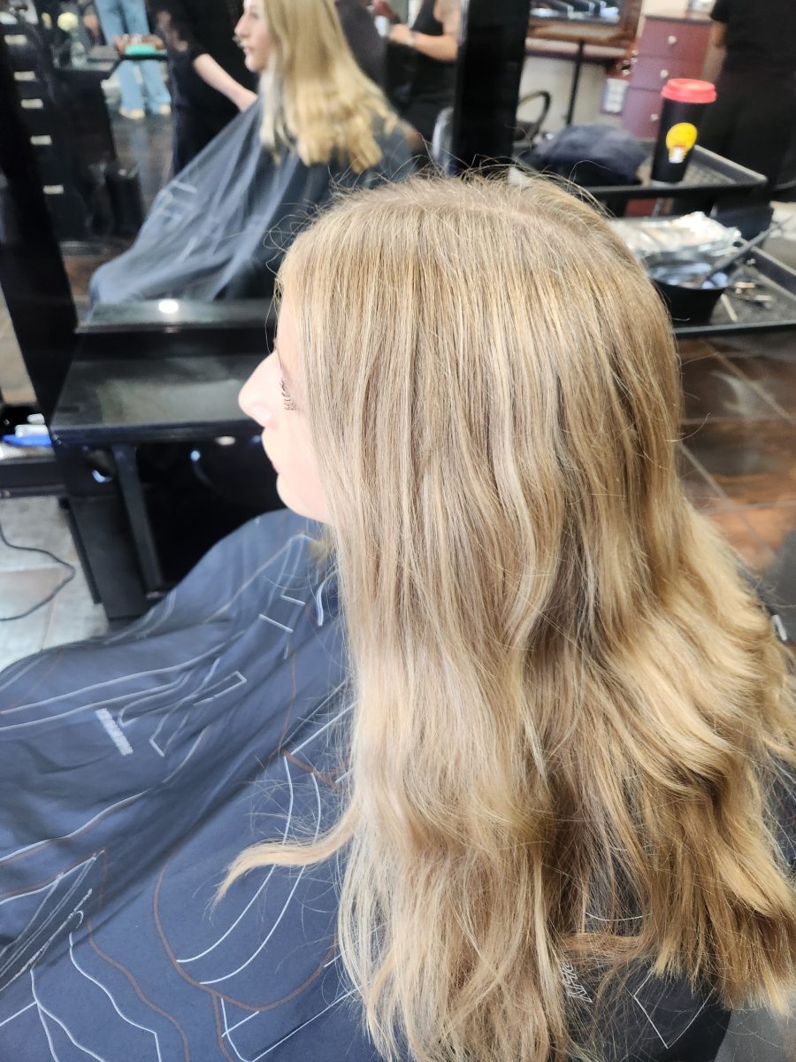 Hilite refresh/haircut before treatment by Siobhan Rozinski at K Bella Hair Studio & Spa in Brighton, MI