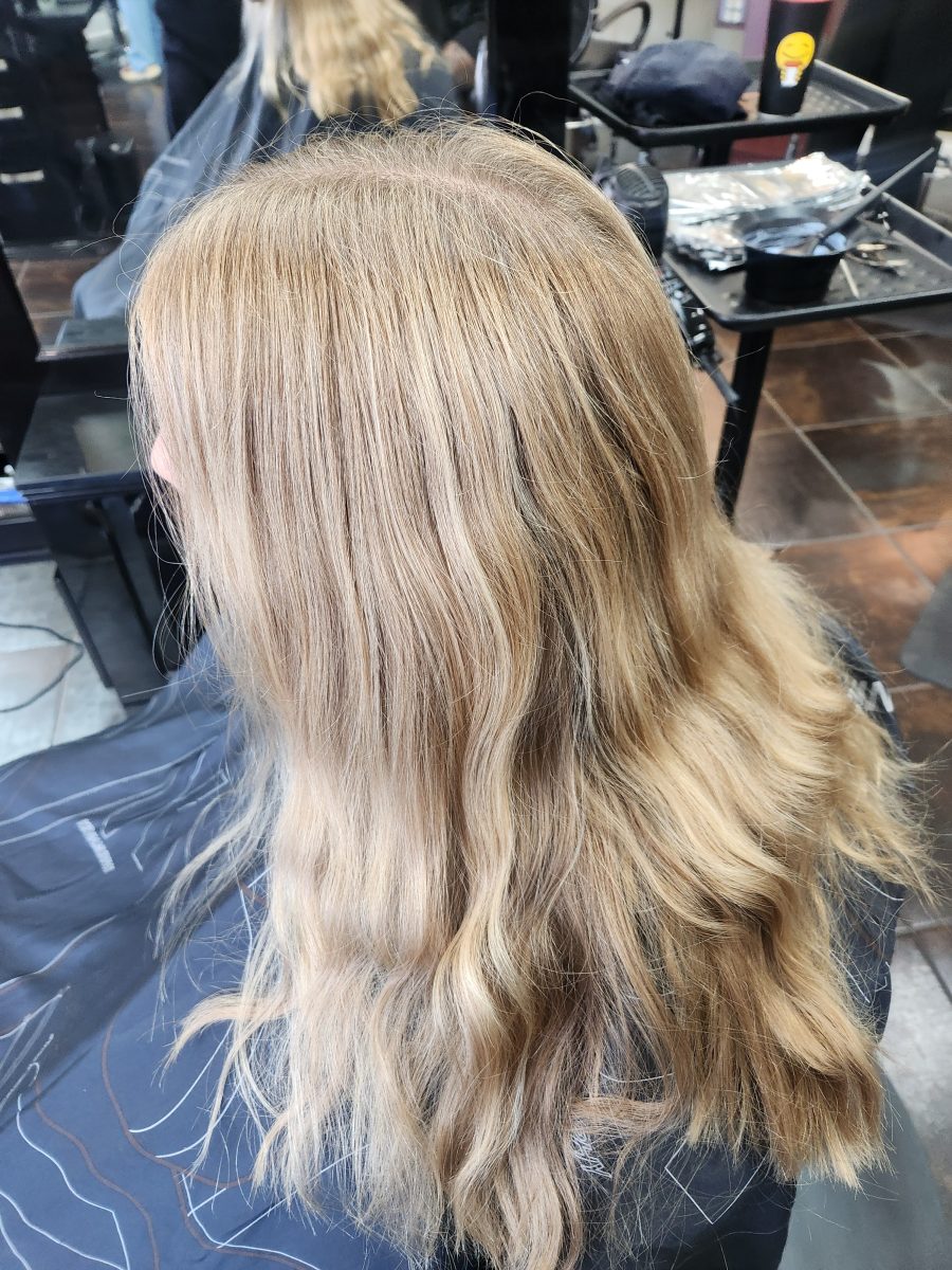 Hilite refresh/haircut before treatment by Siobhan Rozinski at K Bella Hair Studio & Spa in Brighton, MI