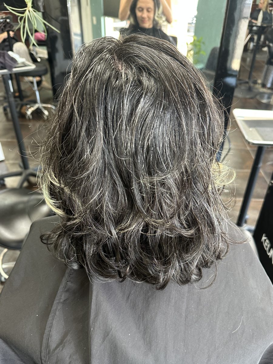 Partial vivid application, split dye with peacock colored prisms before treatment by Liberty Greenwood at K Bella Hair Studio & Spa in Brighton, MI
