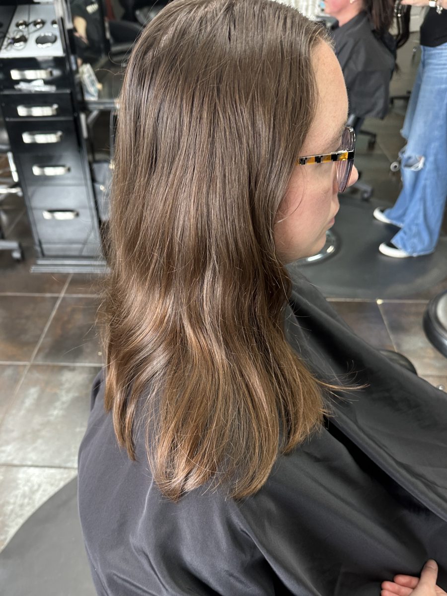 Subtle dimensional highlight before treatment by Liberty Greenwood at K Bella Hair Studio & Spa in Brighton, MI
