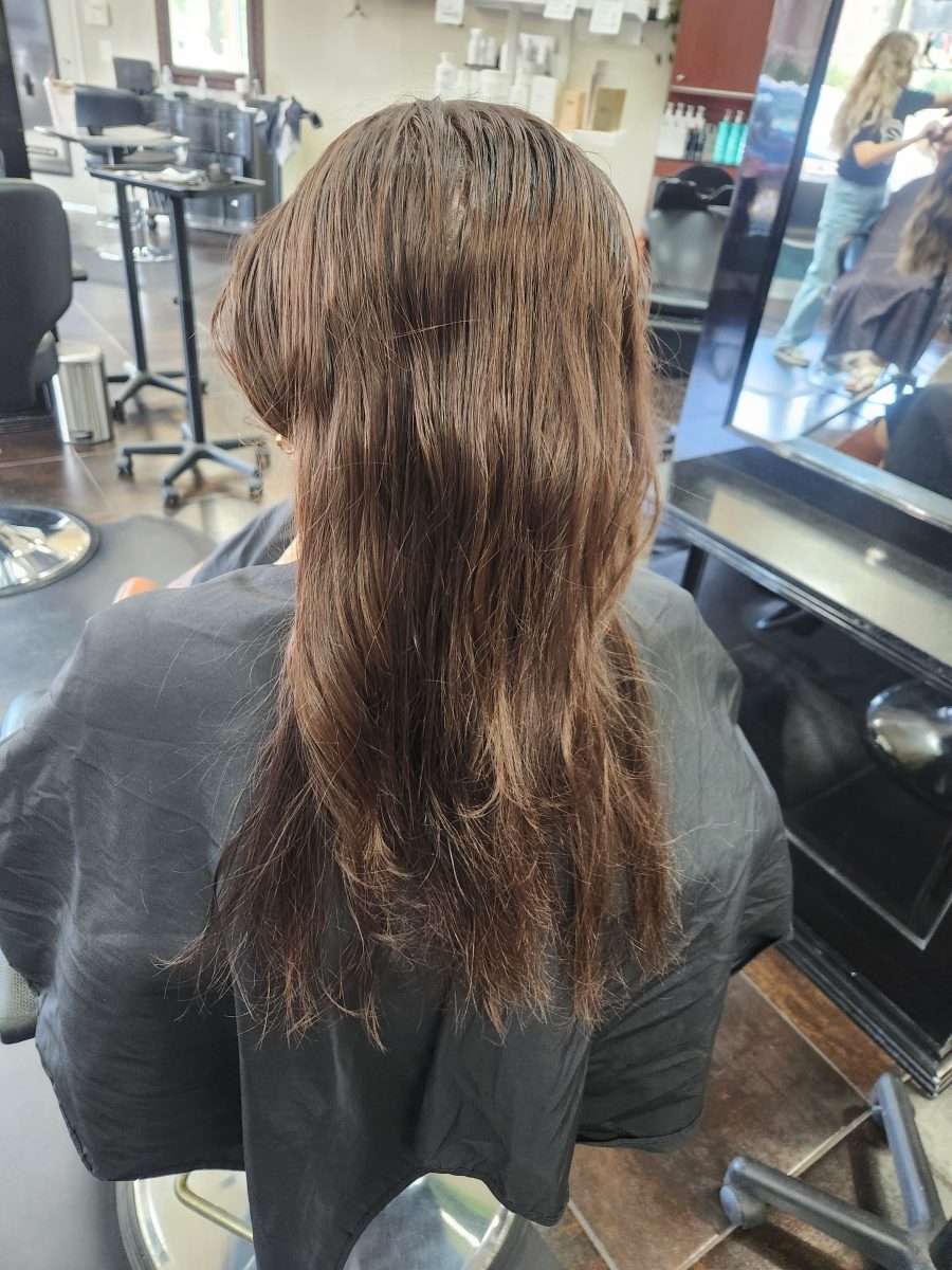 Rear view of long brunette hair before balayage service by Siobhan Rozinski at K Bella Hair Studio & Spa in Brighton, MI