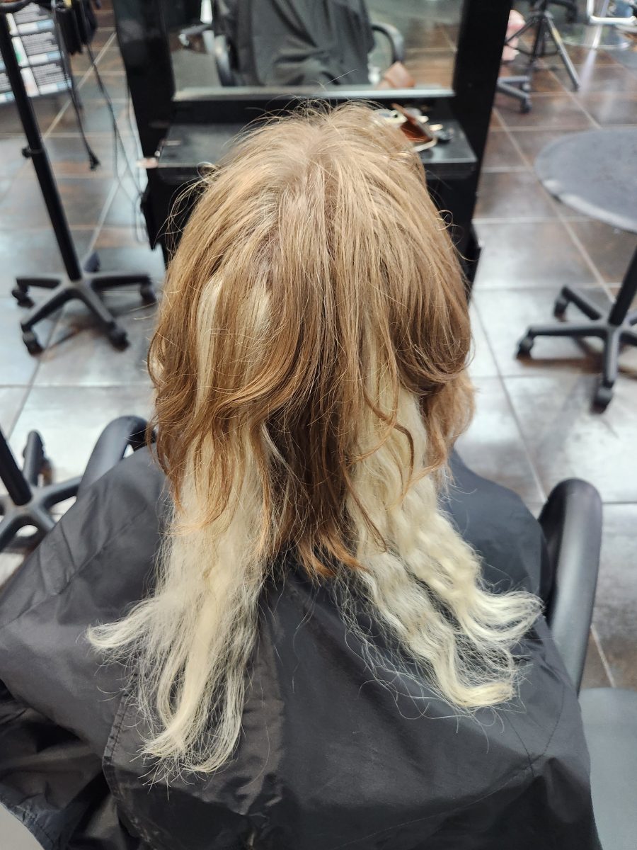 Back view of shoulder-length blonde hair before vivid color and rattail transformation by Siobhan Rozinski at K Bella Hair Studio & Spa in Brighton, MI