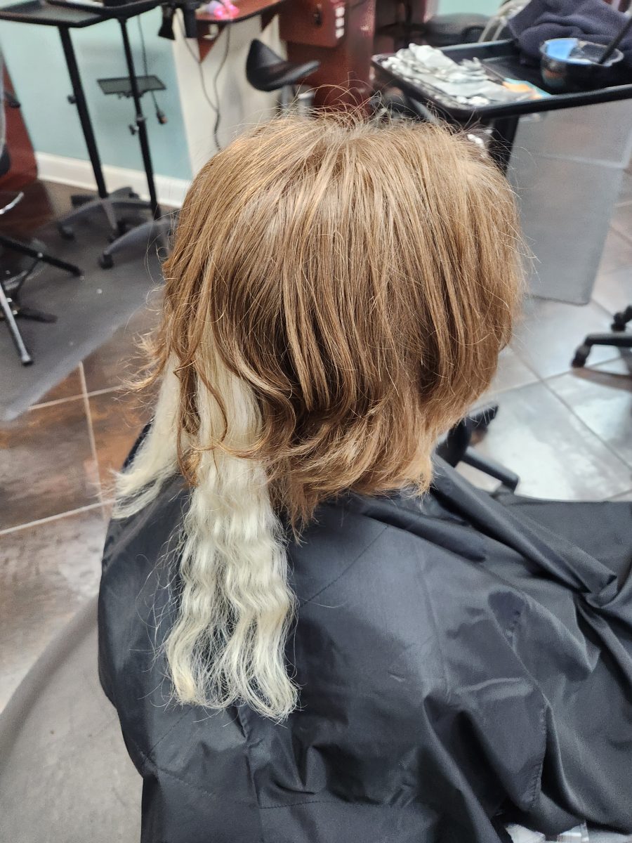 Before: Back view of shoulder-length layered hair with vivid blue and red streaks and thin rattails, worn over plaid shirt, by Siobhan Rozinski at K Bella Hair Studio & Spa in Brighton, MI