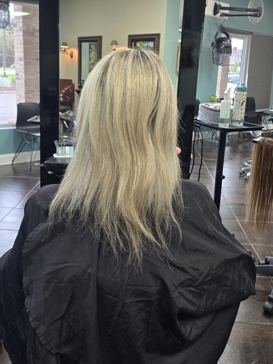 Before: Long wavy hair with deep brunette tones and lighter balayage highlights, shown from behind, in a salon setting by Kristan Sayers at K Bella Hair Studio & Spa in Brighton, MI