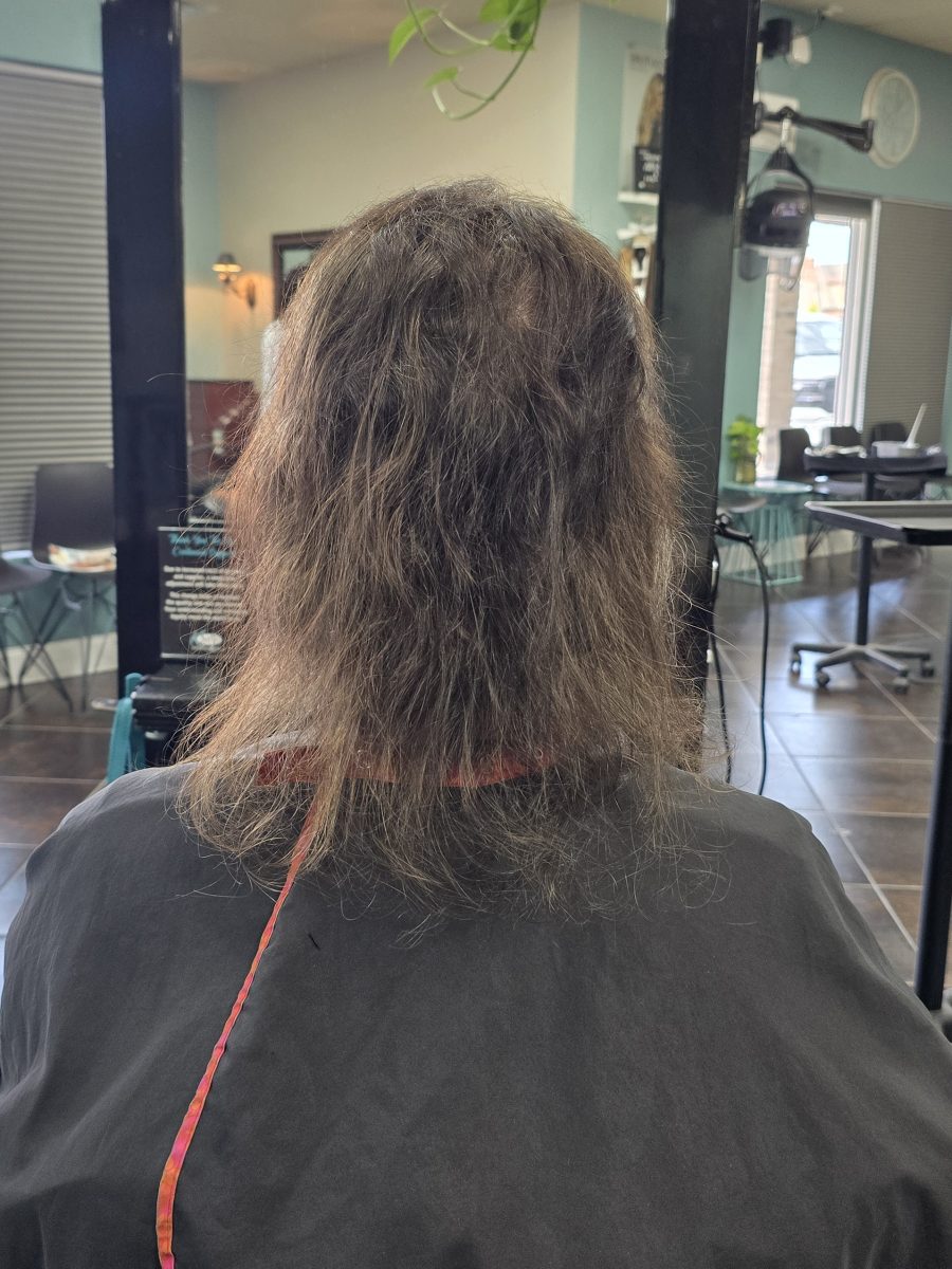 Back view of shoulder-length textured hair before shag cut and extensions, by Kristan Sayers at K Bella Hair Studio & Spa in Brighton, MI