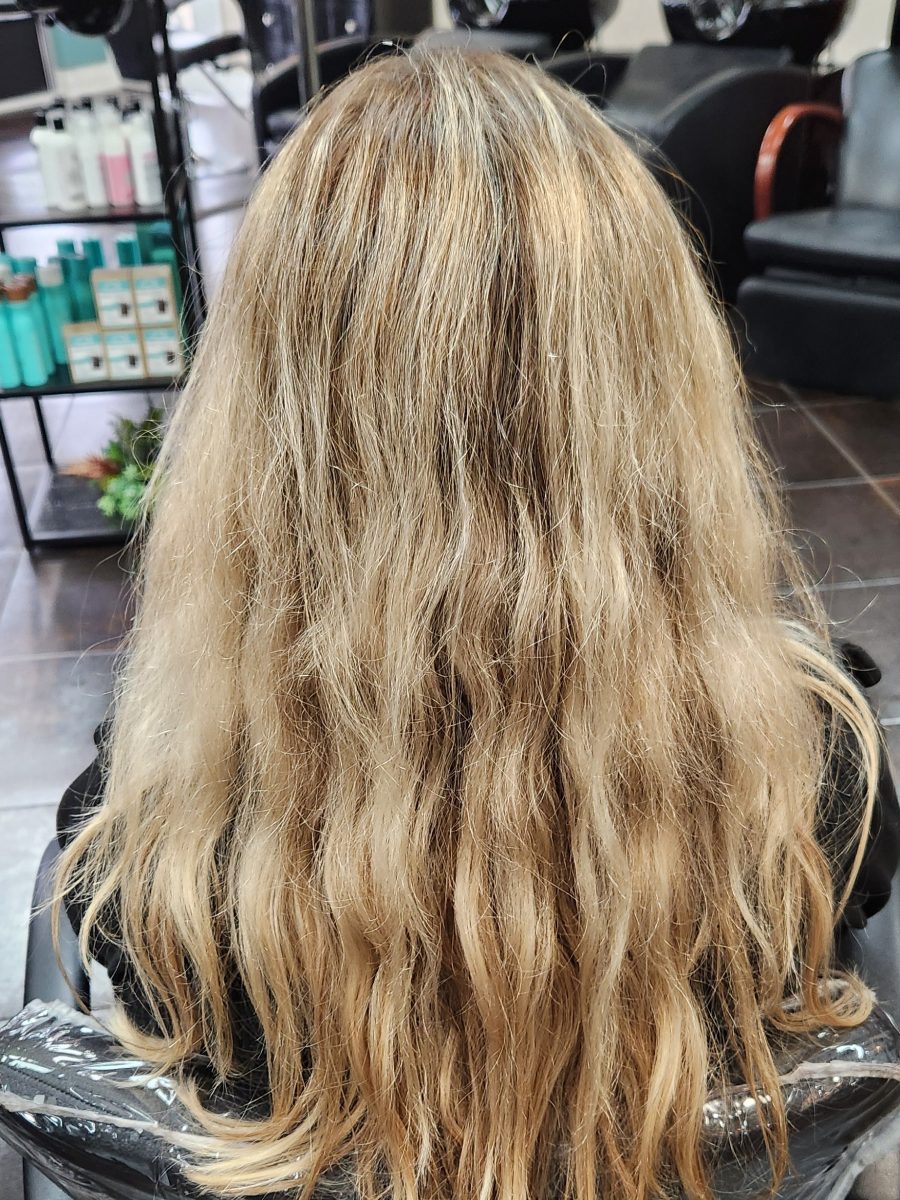 Various Cut & Color Services before treatment by Katie Rowe at K Bella Hair Studio in Brighton, MI