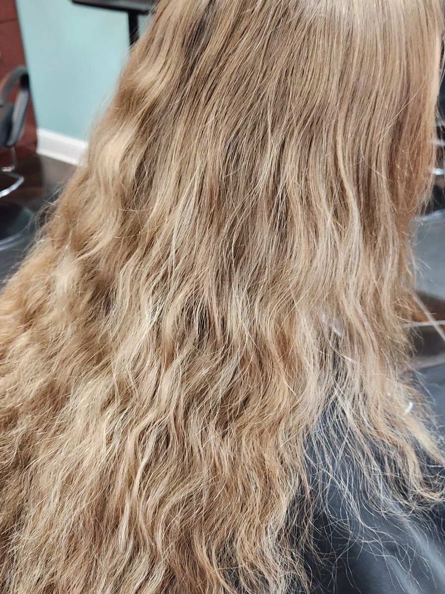 Client Winter Transformation before treatment by Katie Rowe at K Bella Hair Studio in Brighton, MI