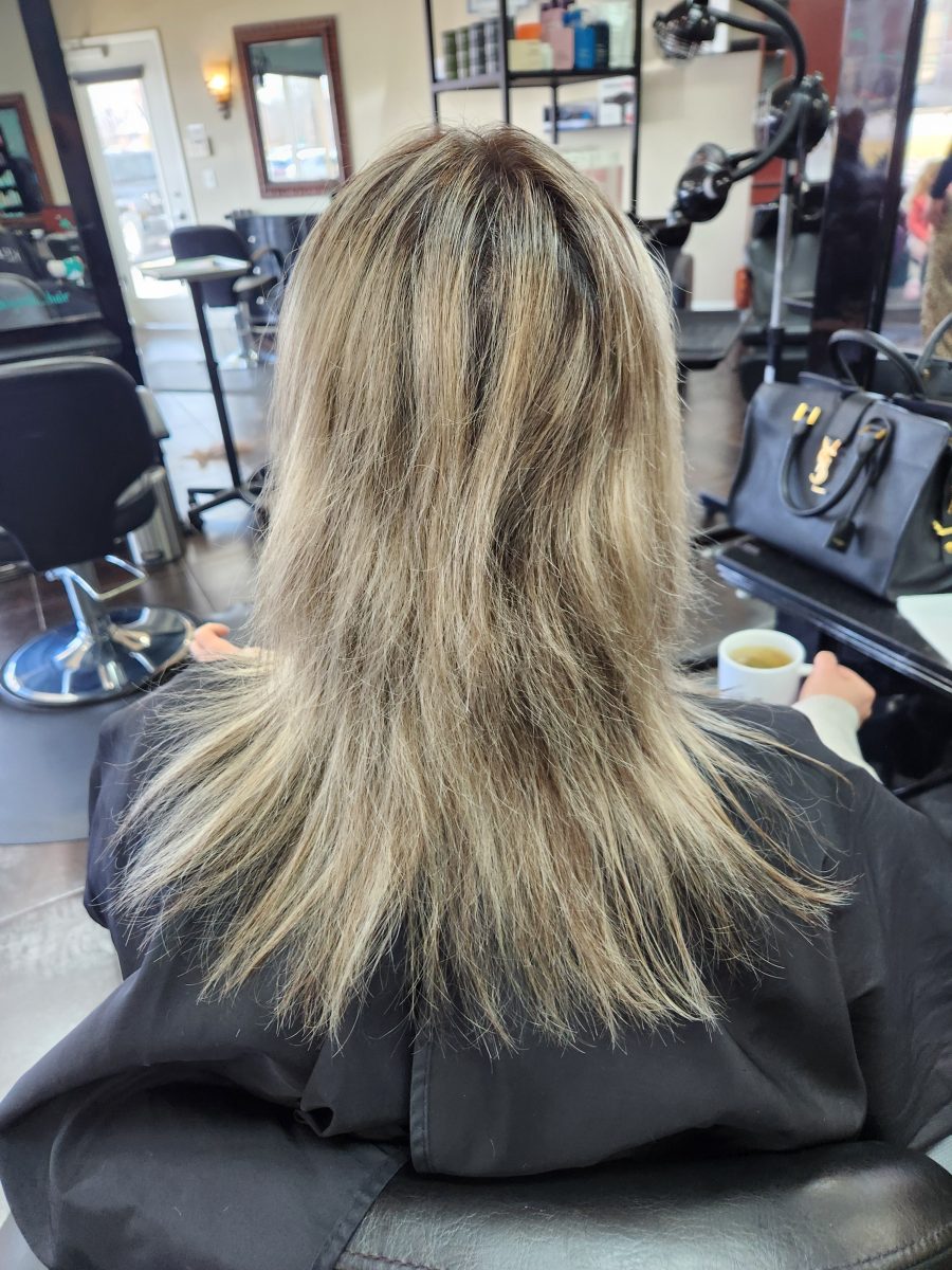 highlight Cut Repair before treatment by Siobhan Rozinski at K Bella Hair Studio in Brighton, MI