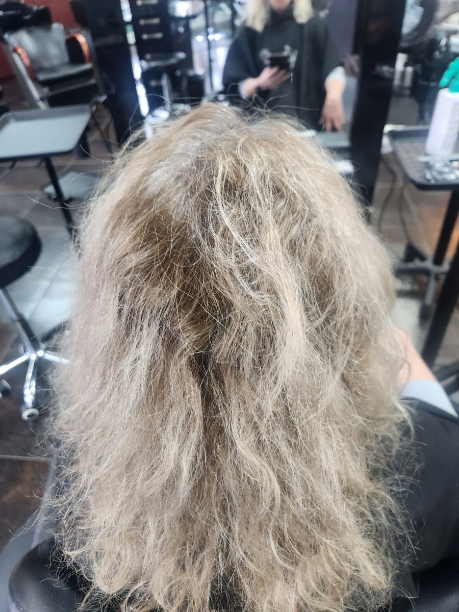 Busted Blonde Color Correction before treatment by Siobhan Rozinski at K Bella Hair Studio in Brighton, MI