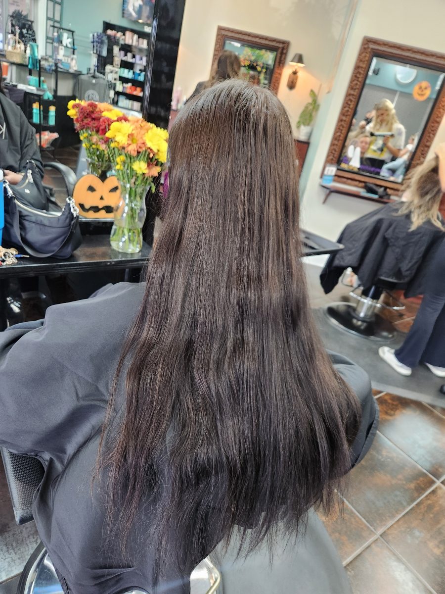 Soft Tawny Balayage before treatment by Siobhan Rozinski at K Bella Hair Studio in Brighton, MI