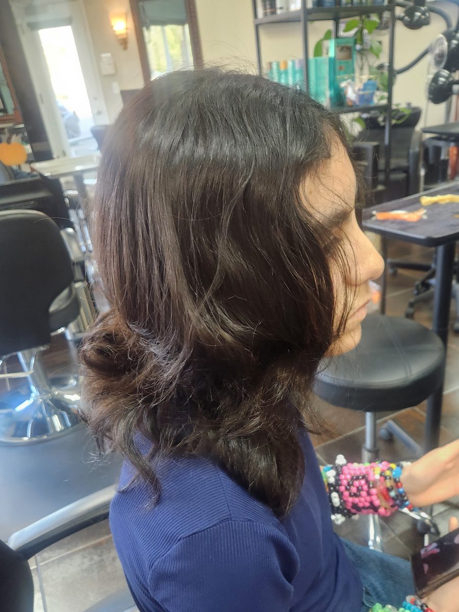 K-Pop Crop Cut before treatment by Siobhan Rozinski at K Bella Hair Studio in Brighton, MI