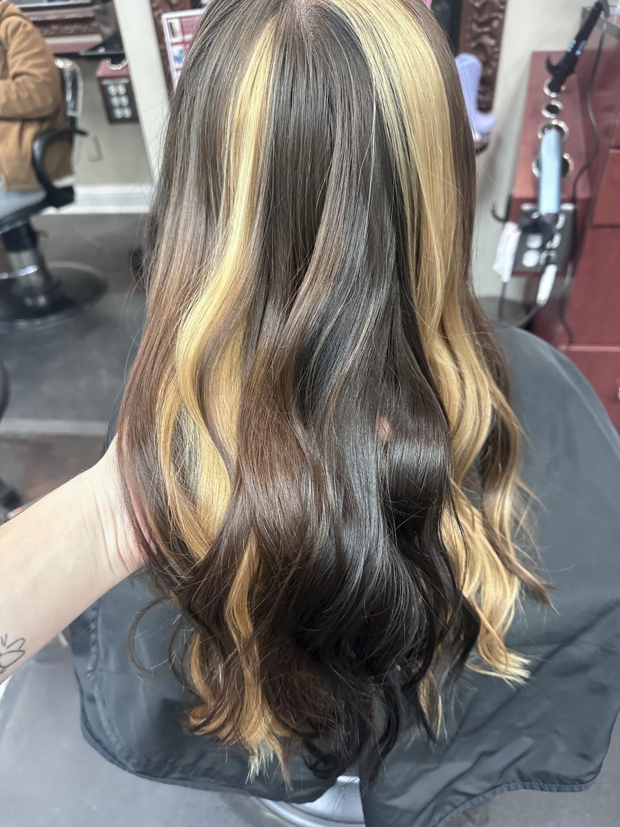 Custom Calico by Kameryn Bell at K Bella Hair Studio in Brighton, MI - after transformation