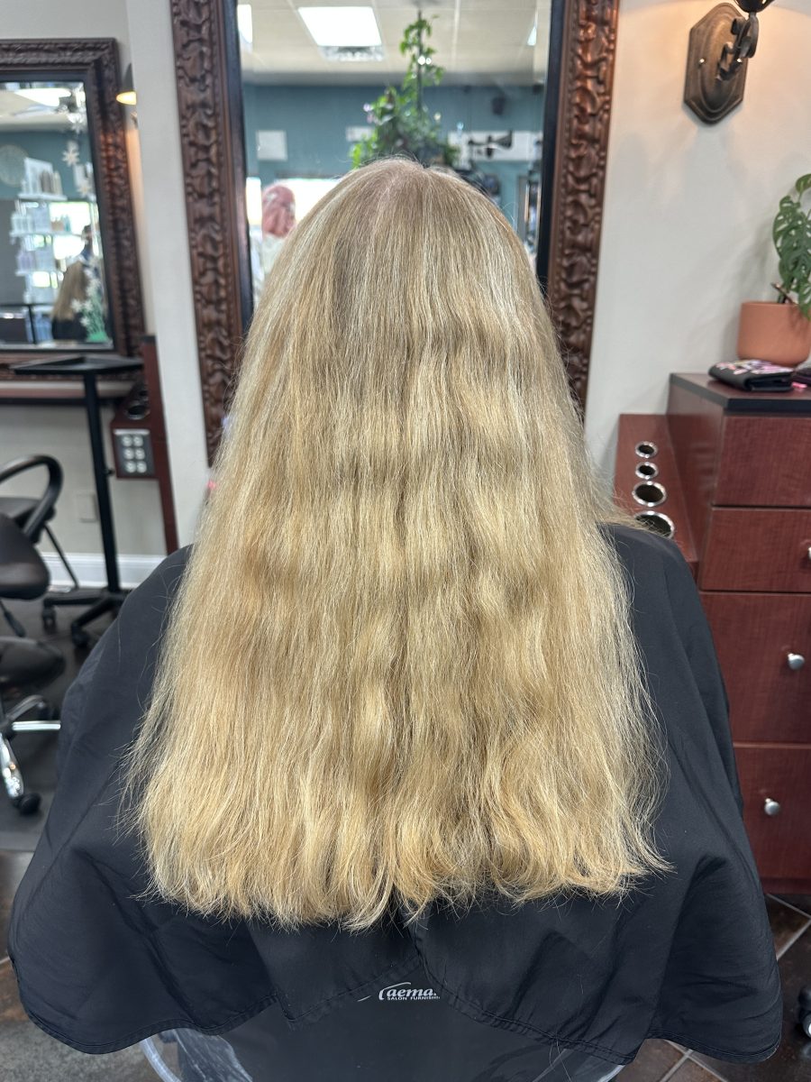 Full head grey blending highlights and haircut before treatment by Kameryn Bell at K Bella Hair Studio & Spa in Brighton, MI