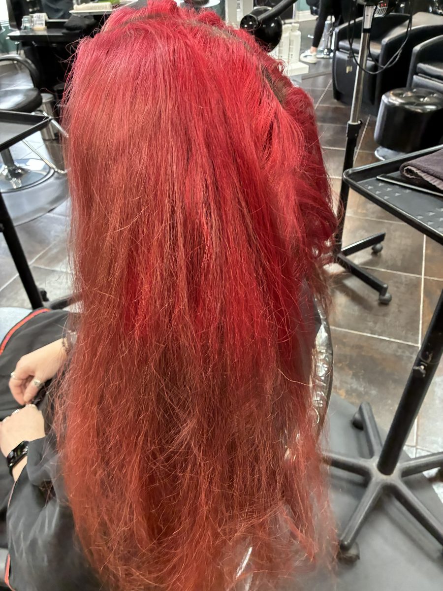 Vivids/cut before treatment by Siobhan Rozinski at K Bella Hair Studio in Brighton, MI