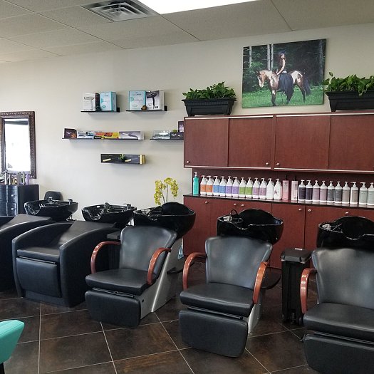  | K Bella - Brighton, MI