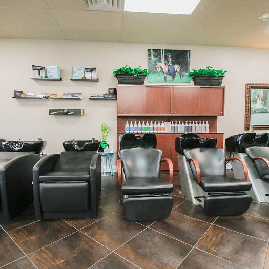  | K Bella - Brighton, MI