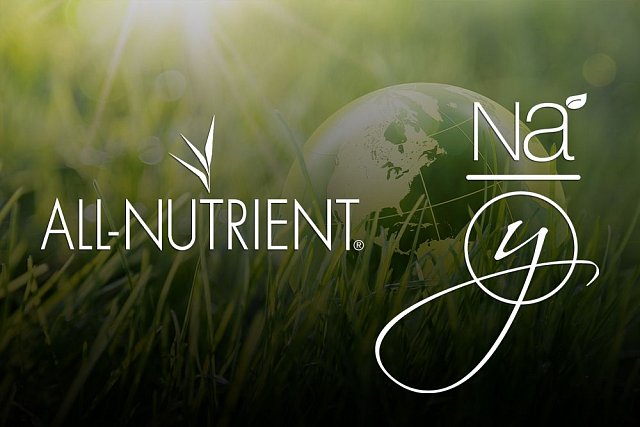 Green/organic hair color lines are available at K Bella